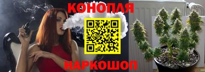 ешки Гусь-Хрустальный