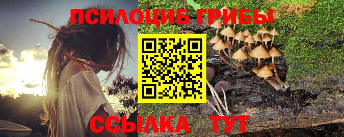 Псилоцибиновые грибы Psilocybine cubensis Назрань