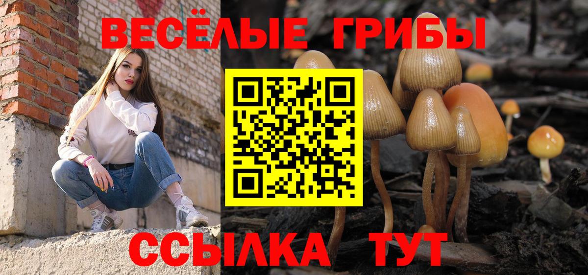 Назрань  Галлюциногенные грибы Cubensis  Вход с VPN  Псилоцибиновые грибы Cubensis 